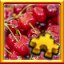 Cherries Complete!