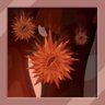 THEY'RE TOO SPIKY!