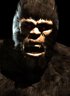 Sasquatch Arcade Mode