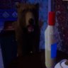 Побухай с Медведем