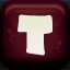 T1