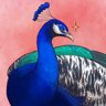 Like Your Birds, But Better