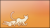 Found 120 cats
