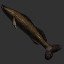 Pike