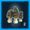 Mushroom Hunter Level 2