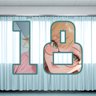 18 level completed