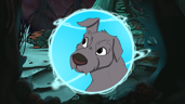 Silly doggy