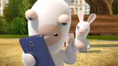 Rabbid patience