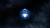 Xfinity Champion
