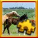 Horses Complete!
