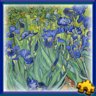 Irises