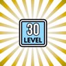 Level 30
