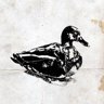 Sitting Duck
