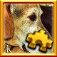 Dog Complete!