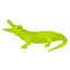 Crocodylus