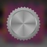 Daycare Race (Silver)