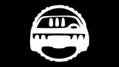Car enthusiast 3