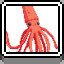 Squid