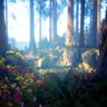 Redwood Peace