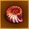 Seashell