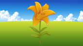 Lily