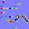 Evolutionary Dead End