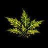 Green Thumb