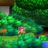 Frog Friend