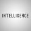 INTELLIGENCE