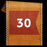 Level 30