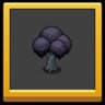 Unlock the black pearl redbud tree!