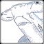 Hammerhead