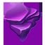 complete level213