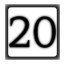 Level 20
