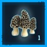 Mushroom Hunter Level 1