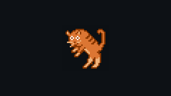 Scared cat
