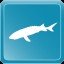 Baikal Sturgeon