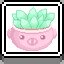 Succulent