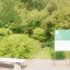 Observer