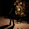 Silent Nights