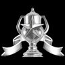 Stage 6 Expert Service