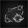 Orbit master