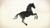 The Gift Horse