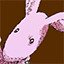 Meet a rabbit