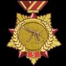 Fallen under Fire Medal