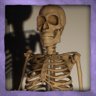 Thanks Mr. Skeltal