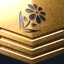Gold Herbalist