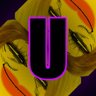 NEW_ACHIEVEMENT_NAME_32_3