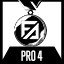 Professional - 4