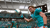 Face the Dolphins